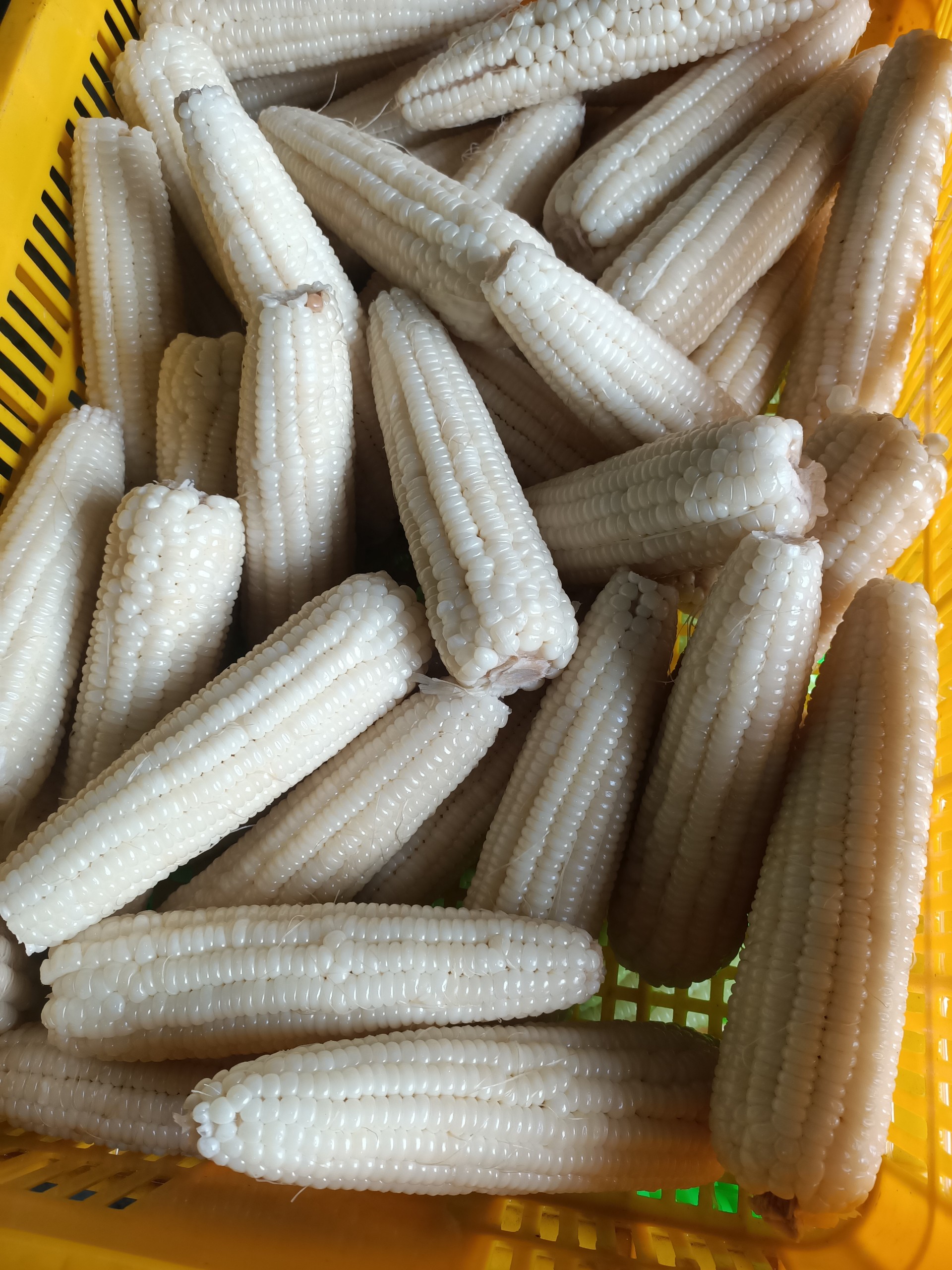 8effe7bbb412764c2f03