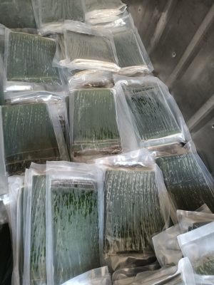 Lá chuối đông lạnh Trúc Lâm Phát