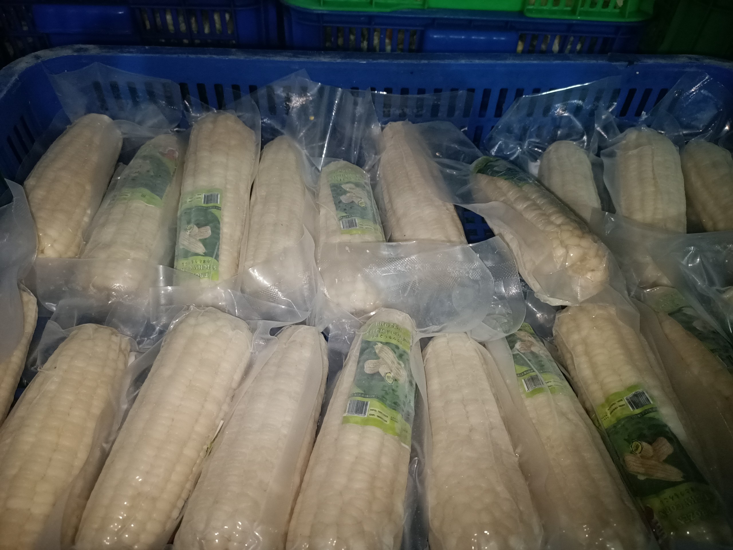 c1912ec766a7a6f9ffb6