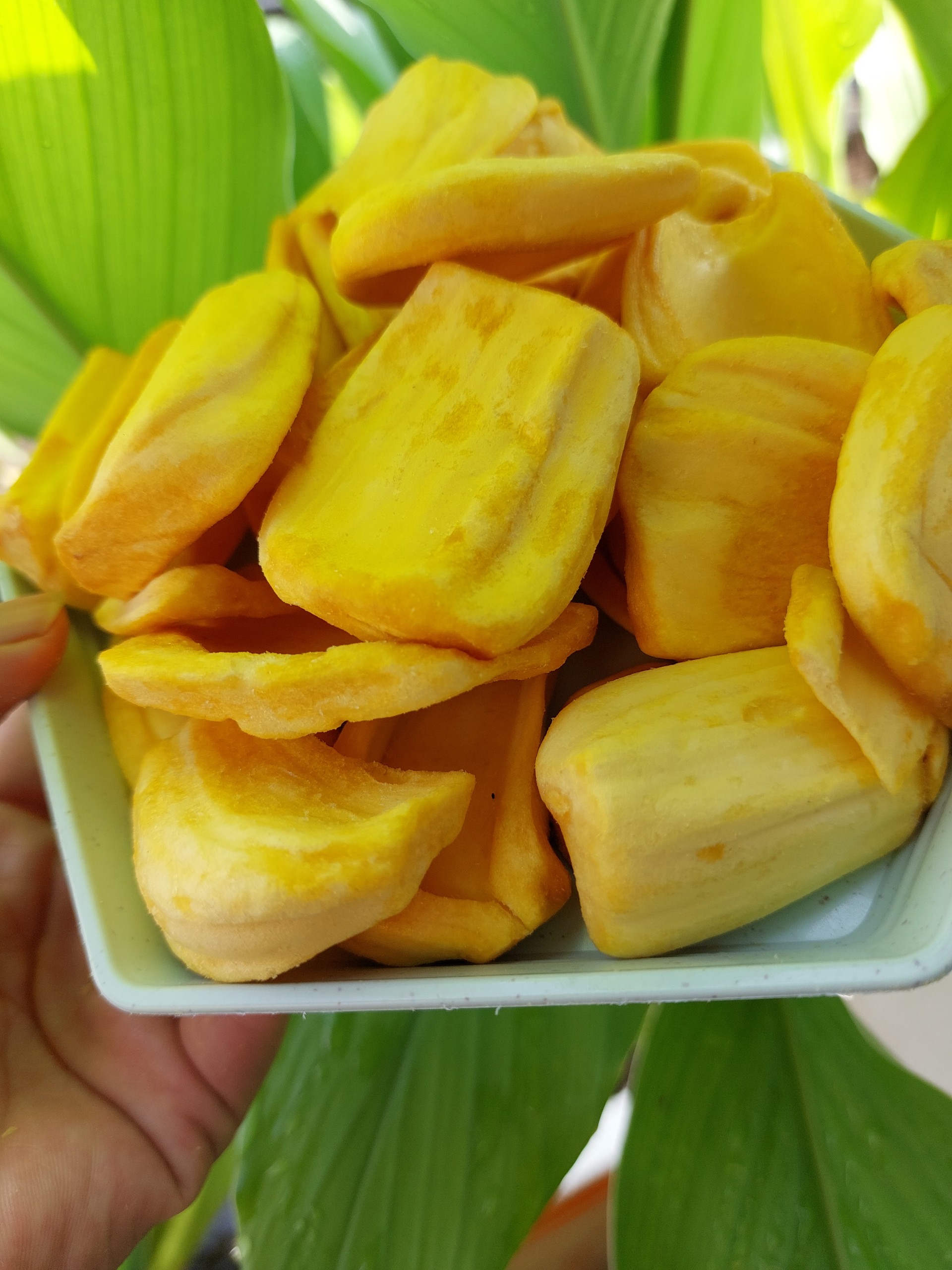 Mít sấy cung cấp cho thị trường xuất khẩu